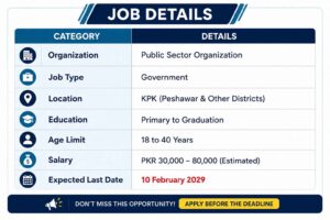 kpkgovt-jobsector-pso-image